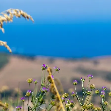 Il Panorama Housing Cilento 3*