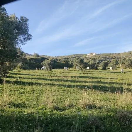 Il Panorama Housing Cilento * Santa Maria di Castellabate